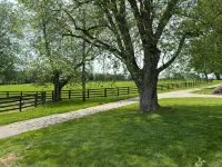 3 bedroom cottage on horse farm close to Kentucky Horse Park, Keeneland, the Ark