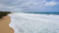 Blue Nest at the Beach - Beach