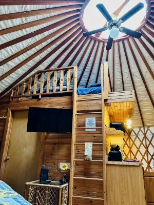 GLAMPING YURT. Sleeps 4, HOT TUB, Pellet Stove - 2-Star