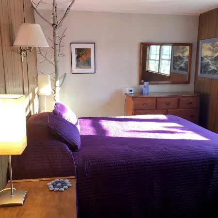 Secluded Cottage! Amazing Views Whiteface Mtn & High Peaks! Great All 4 Seasons!