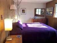 Secluded Cottage! Amazing Views Whiteface Mtn & High Peaks! Great All 4 Seasons! - 3-Star