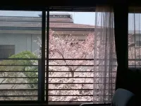 Shouhakutei Azumaso - Scenic