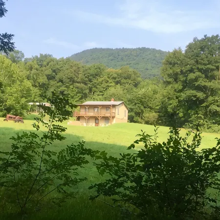Adorable Cabin at Trout-Stocked Paddy Run Surrounded by GWNF and Hiking Trails