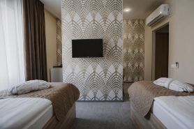 Sleepers Avia DME Hotel