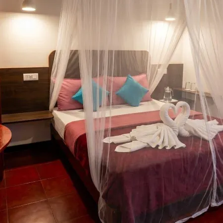 Dream Nest