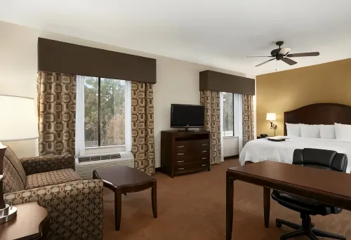 Hampton Inn & Suites Conroe I-45 North - Træningscentre
