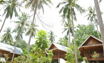 Seashell Coconut Village Koh Tao