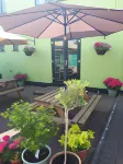 Olive Tree Guest House Hotels in Cheadle