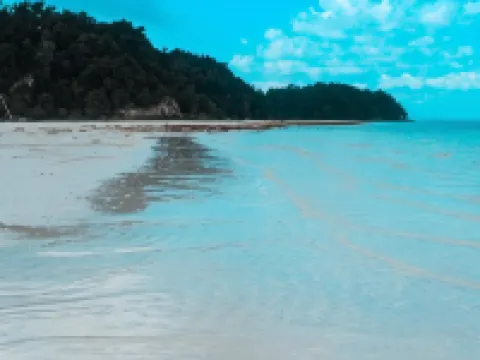 Lovina Inn Hotel Batam Hotels in Batam Center