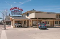 Esquire Inn - موتيلات