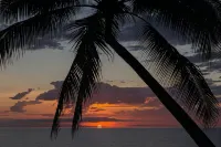Thala Beach Nature Reserve - Beach