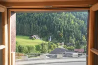 Hotel Wasserfall فنادق في Jaun