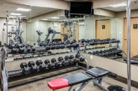 Comfort Inn Medford-Long Island Hôtels à : North Bellport