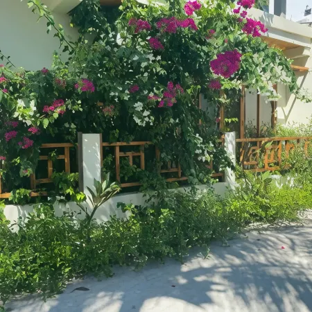 Bougainvillea Inn - Maldives