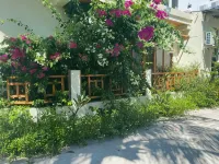 Bougainvillea Inn - Maldives - Wifi