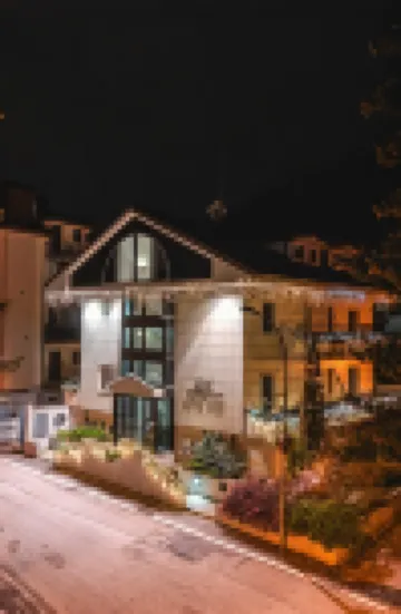 Hotel Petite Fleur Hotels in 