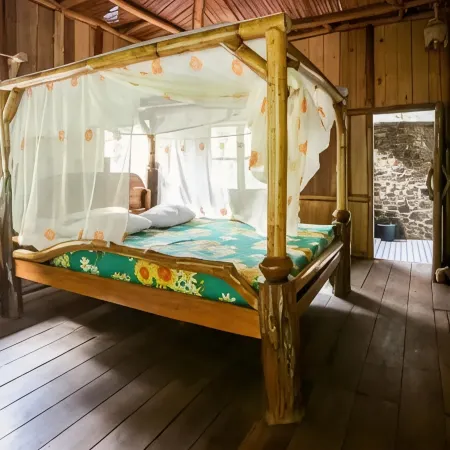 Back to Nature Ecotourism