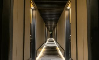 Ola Santiago Providencia, Tapestry Collection by Hilton