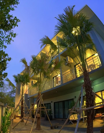 รูปภาพของต้นไทร ทรอปิคอล เกาะพีพี