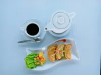 Riez Palace Hotel Hotel a East Tegal