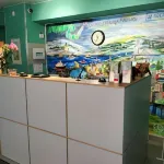 Hostel 51 Hotels in Murmansk
