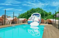 Daebudo Glam Forest Daebudo