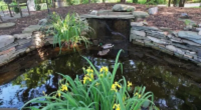 Downtown! Private Entrance Guest Suite in State College. ステート・カレッジのホテル