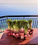 Appartamento Gaia a Tropea - con vista mare