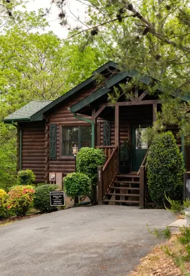 Luxurious, Romantic, Cozy Cabin/Great Reviews/Close to Town/Clean/Hot tub! - Romantic