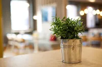 Holiday Inn Express FRANKFURT AIRPORT - RAUNHEIM by IHG - Desayuno