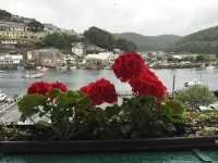 Dolphin Guest House Looe otelleri