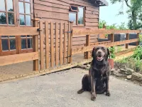 Mountain View Lodge, Luxury Woodland Lodge with Hot Tub - 3 stelle
