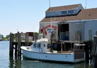 Charming Montauk Getaway centrally located - Apartments