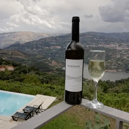 House in organic farm with private pool and stunning views of the Douro River