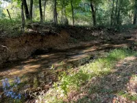 Tranquil cabin with AC and 2 creeks on secluded 5 acres with WiFi - 2-Star