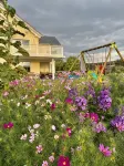 Studio apartment for 1-4 people near Lake Constance - Wi-Fi