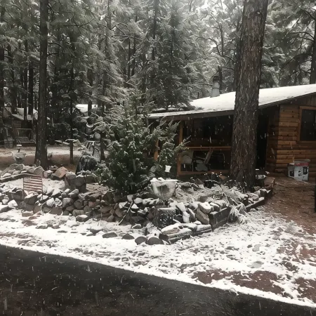 Cabin in The Pines.. Available 240v Tesla and EV charging. Отели в г. Хебер-Овергаард