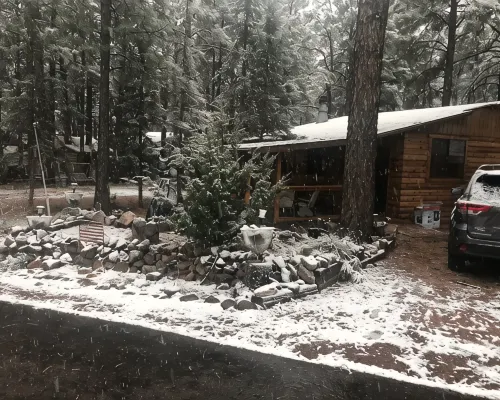 Cabin in The Pines.. Available 240v Tesla and EV charging. Hotéis em Heber