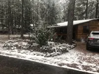 Cabin in The Pines.. Available 240v Tesla and EV charging. - Wifi
