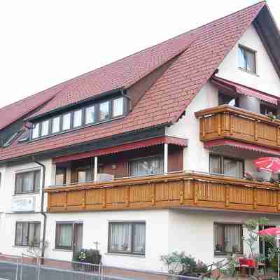 Im Nationalpark Schwarzwald ,gästehaus Central Ferienwohnung 65qm mit Balkon Hotel Exterior
