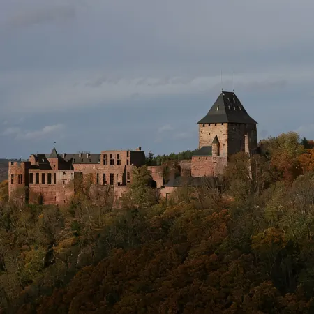 Holiday home Rurperle in the national park Eifel
