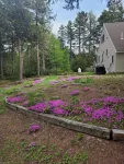 Enjoy all seasons on Pleasant River Lake - Beach