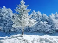 Great Views! AC Ski In Ski Out! Fireplace! Best Deal on the Mountain! Hot Tubs エドレーのホテル