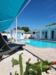 Private Solar Heated Salt Water Pool- Minutes from Everything in St. Pete! - Private Pools