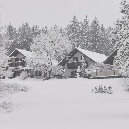 Holiday house near Anne (sauna, forest, lake)