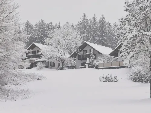 Holiday house near Anne (sauna, forest, lake)