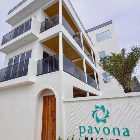 Pavona Maldives