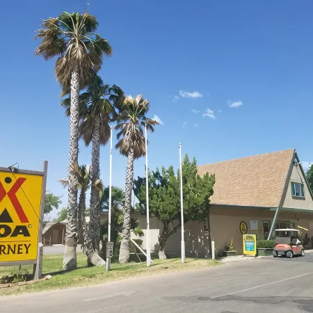 Kingman Koa