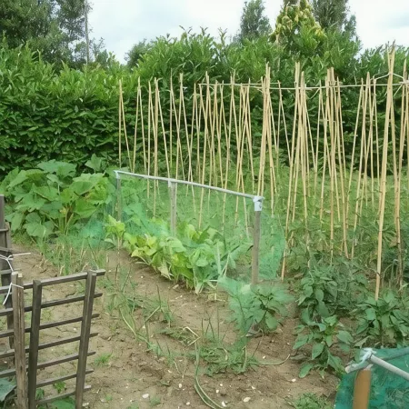 Ortali Country House