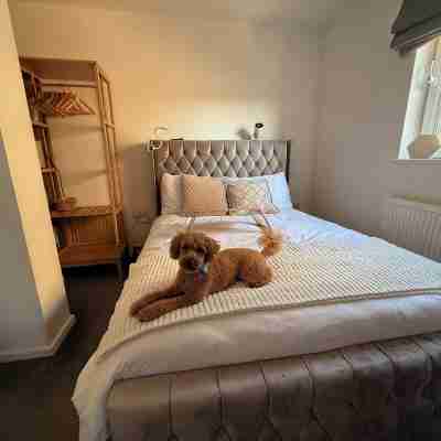5 Star Room Near London City Airport Rooms